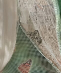 Butterfly Garden: Farm Habitat and Live Cup of Caterpillars – Life Science & STEM Education Butterfly Farm 55 71qgGzwrmHL