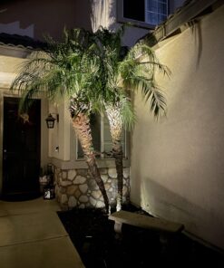 InnoGear Solar Lights for Outside, Solar Lights Outdoor Waterproof Solar Garden Yard Spot Lights Spotlight Pathway Landscape Lighting Wall Light Auto On/Off, Pack of 4 (Warm White) Warm White 37 71qiP99yJRL