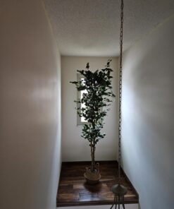 Nearly Natural 7ft. Ficus Artificial Tree, Green 84 in Trees 33 71qjTpuaAdL