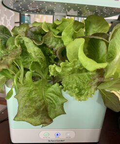 AeroGarden Heirloom Salad Greens Mix Seed Pod Kit - Salad Kit for AeroGarden Indoor Garden, 7-Pod 31 71qk4gHSjtL