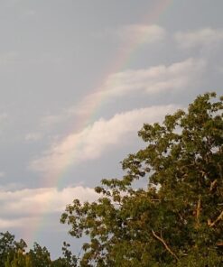 Moto G7 | Unlocked | Made for US by Motorola | 4/64GB | 12MP Camera | Black 4 /64 GB | Moto G7 | 2 Camera | Black | US 59 71qkExKdJfL