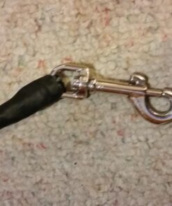 EzyDog Cujo Shock Absorbing Bungee Dog Leash - Best Dog Rope Training Lead - Reflective Trim for Nighttime Safety - Padded Pull Handle for Superior Comfort and Control (40", Black) 40-Inch 20 71qknFyvbLL