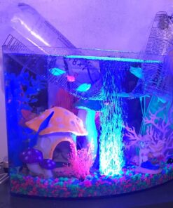 GloFish Aquarium Fish Tank Kits, Includes Fish Tank Decorations and LED Lighting, Tetra Filter and Water Conditioner 5-gallon crescent kit 34 71ql4NB38fL