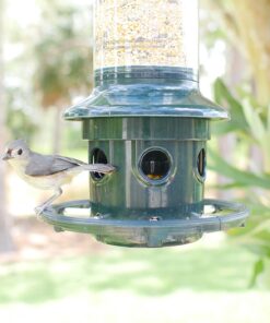 Squirrel Buster Plus Squirrel-proof Bird Feeder w/Cardinal Ring and 6 Feeding Ports, 5.1-pound Seed Capacity, Adjustable, Pole-mountable (POLE ADAPTOR SOLD SEPARATELY), Green 45 71qlHSdWoyL