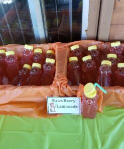 Little Giant Plastic Bear Bottle Honey Squeeze Bottle with Flip-top Lid (12 Ounce, 12 Pack) (Item No. HBEAR12) 31 71qlP5zuuDL