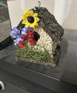 Edible Birdhouses | Reseedable Wooden Birdhouse Covered w/Birdseed | Squirrel Proof Bird Feeder | Made in The USA (SD) Short Dark Roof 29 71qp6XEogoL