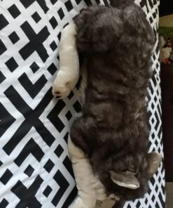 Wild Republic Jumbo Wolf Plush, Giant Stuffed Animal, Plush Toy, Gifts for Kids, 30 Inches Single 56 71qqIe5pFdL