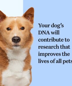 Wisdom Panel Breed Discovery Dog DNA Kit: Most Accurate Dog Breed Identification, Test for 365+ Breeds, MDR1 Health Test, Ancestry, Relatives 24 71r RFItUL