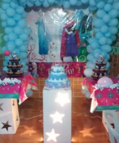 Disney Frozen Birthday Party Scene Setters Wall Decorating Kit (5 Pack), Multi Color, 59" x 65". 29 71r0OdJm5XL