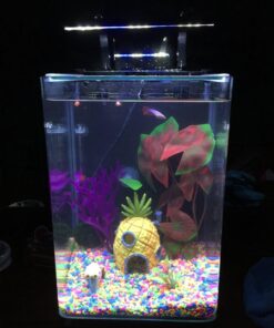 MarineLand Contour Glass Aquarium Kit with Rail Light 3-gallon 43 71r2kuHxeUL