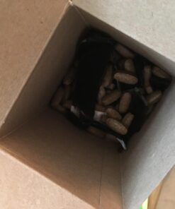 Garden of Life Mykind Organics Prenatal Vegan Whole Food Multivitamin Tablets, Folate not Folic Acid & Stomach Soothing Blend for Women, Peppermint, 180 Count 180 Count (Pack of 1) 41 71r5EArRgpL