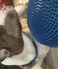 AppleRound Air Stability Wobble Cushion with Hand Pump, 13.5in/34cm Diameter, Balance Disc for Adult, Sensory Wiggle Seat for Kid Blue 37 71r7nm8Xt L