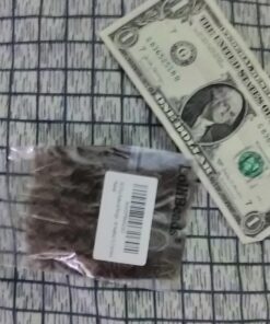 LolliBeads (TM) 50 Pcs Natural Ringneck Pheasant feather 2-3 inches 18 71r92g6dNvL