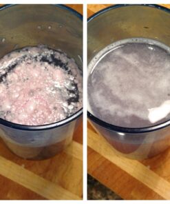 Legion Recharge Post Workout Supplement - All Natural Muscle Builder & Recovery Drink With Creatine Monohydrate. Naturally Sweetened & Flavored, Safe & Healthy. 60 Servings. (Fruit Punch, 60 Servings) Fruit Punch 60 Servings (Pack of 1) 36 71r9tf5LxL