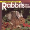 Welcome to the World of Rabbits and Hares (Welcome to the World Series) 5 71rACilMSVL