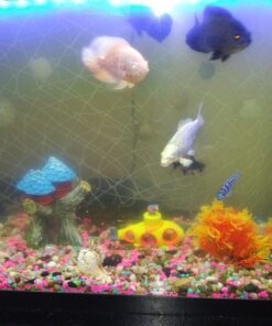 Pure Water Pebbles Aquarium Gravel, 5-Pound, Turquoise 11 71rBCgzBnmL