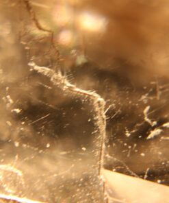 58mm Altura Photo Professional Accessory Kit for Canon EOS Rebel T8i T7i T7 T6i T6 SL3 DSLR – Wide Angle & Fisheye Lens, Filter Kit (Macro Close-Up Set, UV, CPL, ND4) & More Accessories Standard Packaging 25 71rC9UEM3HL