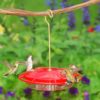 Aspects 367 Hummzinger Ultra Hummingbird Feeder, 12-Ounce,4 Feeding,Red