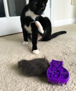 KONG - Cat ZoomGroom Purple 35 71rDVLqKXDL