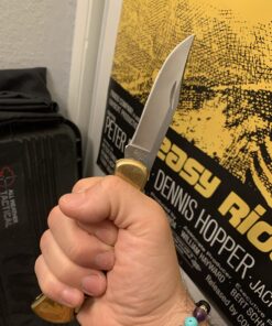 Buck Knives 110 Folding Hunter Lock-back Knife, Brass Bolsters, Ebony Handles, 3-3/4" 420HC Blade with Leather Sheath Classic 3.75" 48 71rDup3nKfL