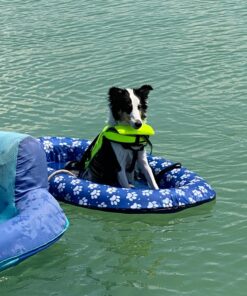 SwimWays Paddle Paws Spring Float Dog Raft, Small (0-65 lbs.) 33 71rGcKMmV L