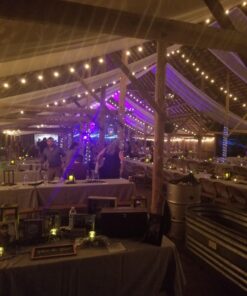 120" Wide (10ft Wide) x 120 Yards Roll -Ivory/Off-White Sheer Voile Chiffon Fabric - SEDONA DESIGNZ Brand Perfect for Draping Panels and Masking for Weddings & Events 17 71rJoW4YrbL