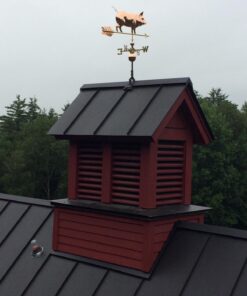 Good Directions 9550P Country Pig Weathervane – Copper 9 71rMJG3fNzL