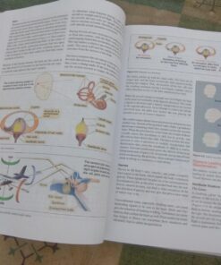 Instrument Flying Handbook: ASA FAA-H-8083-15B 10 71rMyKRcL