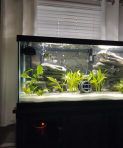 Seachem Indoor Purigen Organic Filtration Resin - Fresh and Saltwater 100 ml 37 71rN4tHJLmL