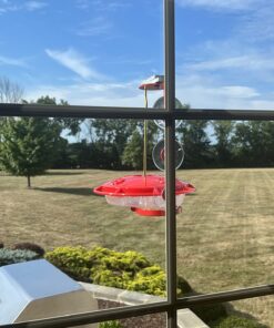 Aspects 367 Hummzinger Ultra Hummingbird Feeder, 12-Ounce,4 Feeding,Red 28 71rO7UauoL