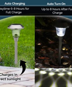Morvat LED Auto Solar Powered Outdoor Path Lights with Stainless Steel & Glass Lens for Garden Yard & Pathway, Bright Waterproof Landscape & Patio Lighting, Dusk to Dawn, White Light, 8 Pack 18 71rOuJJtlUL