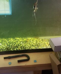 Marineland Emperor Power Filter Cartridge Rite-Size E, 4 Count, Replacement Cartridge For Aquarium Filtration, E - Purple, 4 Count (Pack of 1) 4 Count (Pack of 1) 30 71rPEpsv2OL