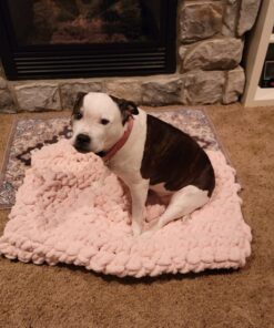 Purina Busy With Beggin' Made in USA Facilities Small/Medium Breed Dog Treats, Twist'd - 10 ct. Pouch Bacon 37 71rUnSrBHcL