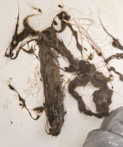 36" Snake Drain Clog Remover - Used as Hair Clog Remover for Sink, Shower, and Bathtub - Dryer Vent Cleaner, and as a Flexible Grabber Tool for Hard to Reach Places - By RAM-PRO 36 Inch 1 Pack 39 71rXJz9eWPL