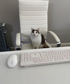 Amazon Basics High-Back Executive Swivel Office Desk Chair with Ribbed Puresoft Upholstery, Lumbar Support, Modern Style, 23.9"D x 24.69"W x 41.5"H, Stunning White 44 71rY01muqnL