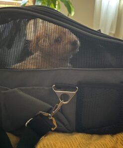 Pettom Dog Car Seat Pet Car Booster Seat Carrier Airline Approved for Dog Cat Puppy Small Animal Travel Cage (Gray-1, Small-Hold Pet up to 13lb) Gray-1 24 71rb3jcOUzL