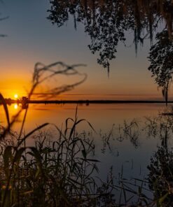 Nikon D500 DX-Format Digital SLR (Body Only), Base 100 71rd7kIDFTL