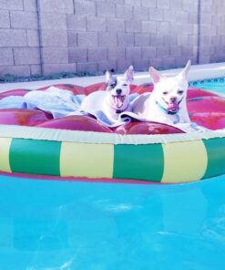 SWIMLINE Original Large Island Pool Float Collection for 1-3 Adults & Kids | Inflatable Floating Lounger Mats | XL Size Floaties for Pool Lake Ocean Summer Fun | Multi-Purpose Water Floaty Heavy Duty Fruit Slice (Watermelon) 43 71rgdDmvJ6L