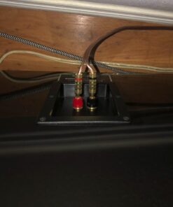 Monoprice Gold Plated Speaker Banana Plugs – 5 Pairs – Closed Screw Type, For Speaker Wire, Home Theater, Wall Plates And More 35 71rhhTpIgjL