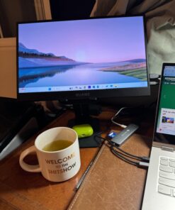 WUAWE 15.6" Portable Monitor, 1080P 72% NTSC 100% sRGB USB C HDMI Travel Monitor for Laptop, External Second Computer Monitor with HDR Freesync Low Blue Light for PC Mac Phone PS5 Xbox Switch 35 71riTPsgczL