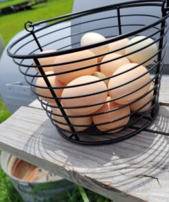 Little Giant® Small Egg Basket | Basket for Carrying and Collecting Chicken Eggs | Wire Egg Basket | Egg Collecting Basket 19 71ric4sDHFL