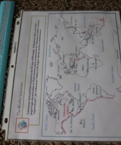 Amazon Basics Sheet Protector, Heavy Duty, Non-Glare, 100 Pack, Clear 100 - Pack 31 71riwgLseBL