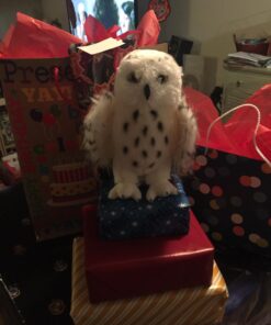 Douglas Legend Snowy Owl Plush Stuffed Animal 27 71rkb9mYU5L