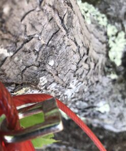 BV Pet Tie Out Cable for Dogs Up to 125 Pounds, 30 Feet (Red/ 125lbs/ 30ft) 125lbs/ 30ft/ Red 36 71rkcNIMlsL