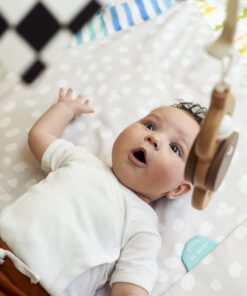 LOVEVERY | The Play Gym | Award Winning For Baby , Stage-Based Developmental Activity Gym & Play Mat for Baby to Toddler 34 71rmEdC3s2L