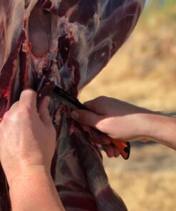 OUTDOOR EDGE 3.5" RazorLite EDC Knife. Pocket Knife with Replaceable Blades and Clip. The Perfect Hunting Knife for Skinning Deer. Blaze Orange with 6 Blades Orange (6 Blades) 43 71rogUfFnoL