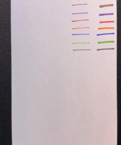 Amazon Basics Dual Tip Permanent Markers, Bullet Tip and Ultra Fine Tip, 8-Pack, Assorted 34 71rtGcPkHzL