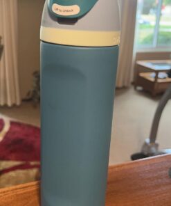 Owala FreeSip Insulated Stainless Steel Water Bottle with Straw for Sports and Travel, BPA-Free, 24-oz, Blue/Teal (Denim) Denim 24 oz 19 71rvQiY bgL