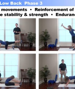 RehabZone Low Back Pain and Core Exercise Plan: Physician Endorsed Low Back Pain Home Exercise and Rehabilitation Program 13 71rx66HzQmL