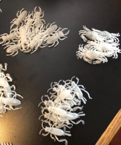 Glow in the Dark Insects - 144 Pieces - Party Favor and Prank Toys - Assorted Reptiles and Bugs Toys – Great for Halloween, Birthday Parties, Piñatas, Prizes and More - by Skeleteen 27 71ry5rnCpL